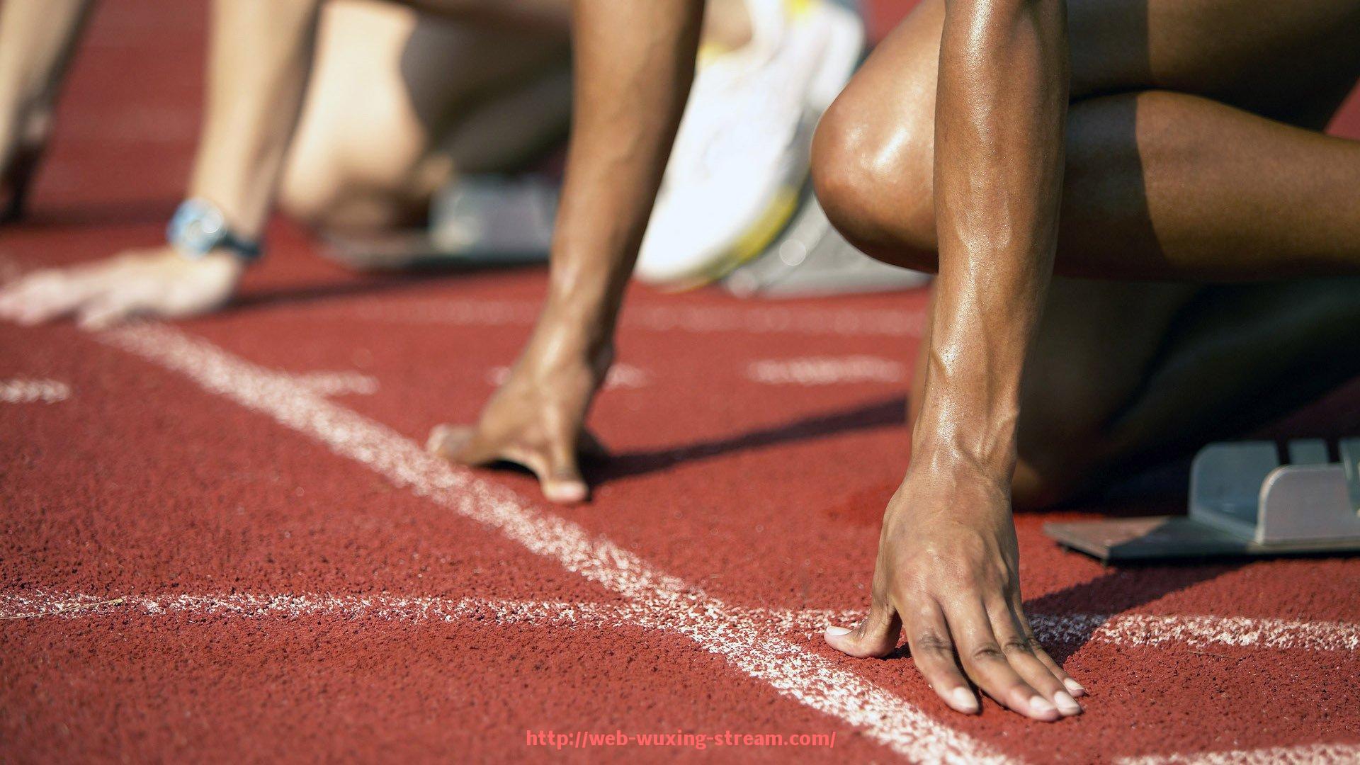 五星体育直播-临沂军霞健身器材品牌分析及地方销售网络结构